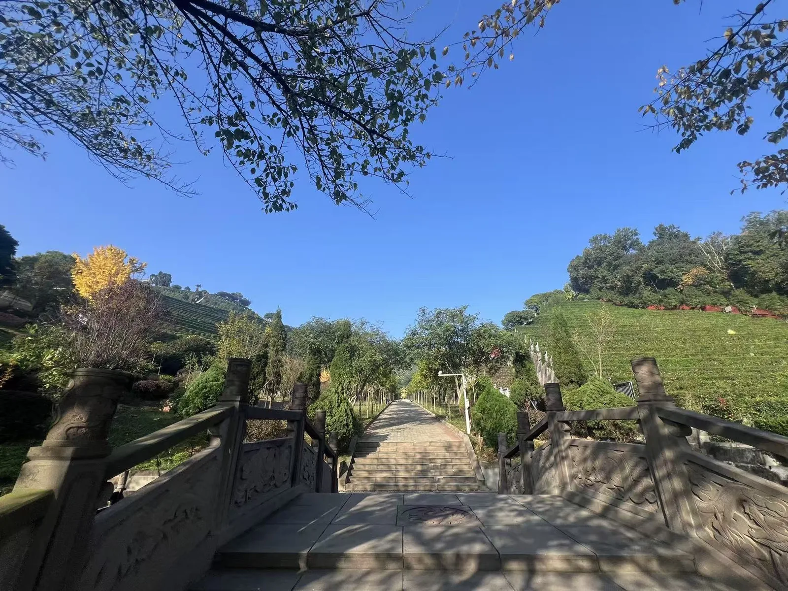 石阶步道 · 雕花栏杆